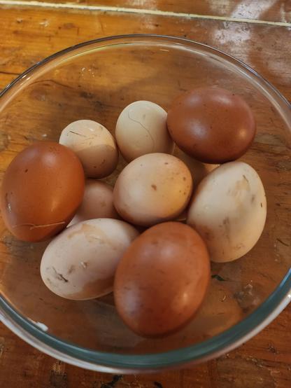 Glass bowl full of eggs, some deep briwn, some pale, on a wooden table.