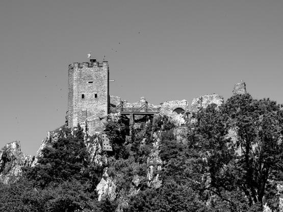 Schwarz-Weiß-Fotografie der Burgruine Weißenstein aus einer klassischen "Ansichtskarten"-Perspektive. Es handelt sich um die Ruine einer Höhenburg, deren Reste auf dem Kamm eines steilen felsigen und unterhalb bewaldeten Hügels stehen. Rund um den markanten Turm kreisen Vögel.

Black and white photograph of the Weißenstein castle ruins from what I would call a classic “picture postcard” perspective. It is the ruin of a hilltop castle, the remains of which stand on the crest of a steep, rocky hill with woodland below. Birds circle around the striking tower.