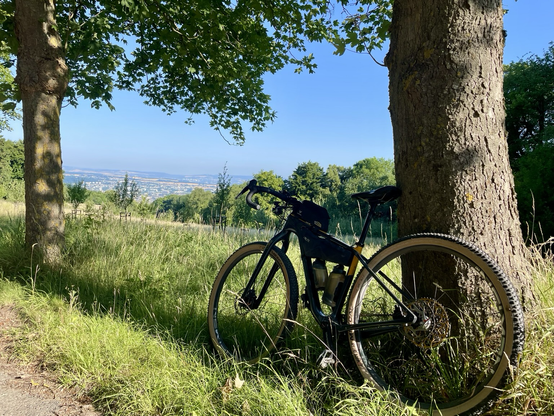 Fahrrad am Baum lehnend auf der Schmittenhöhe mit Blick über Koblenz