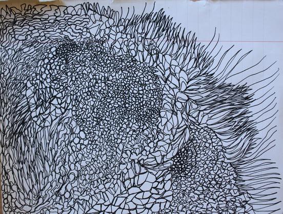Improvisation graphique, lignes noires qui forment des conglomérats, des matières rappelant la roche et le vie sous-marine.