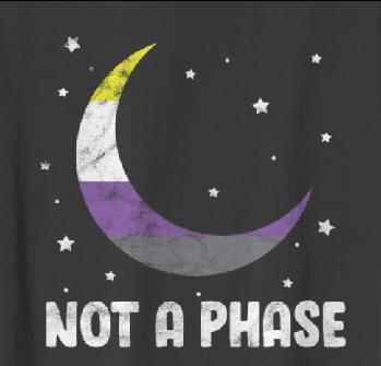 Stylised drawing of a lunar crescent in the colours of the non-binary pride flag on a black background, surrounded by white stars. Below the moon, in white letters, we read:
"Not a phase".