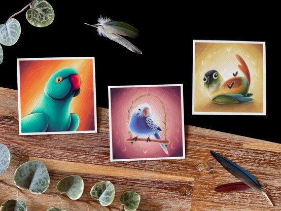 Picture of three small square print photographed on a black and wooden background with a few decorative plants and feathers around. 
One features an Indian ring neck, another a little budgie, and the third one is a green cheek conure. 