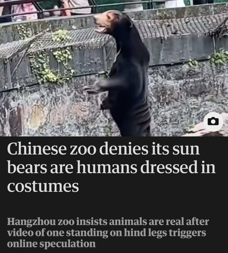 A screenshot of a Guardian article with the headline "Chinese zoo denies its sun bears are humans dressed in costumes" accompanied by a picture of what looks very much like a human in a bear costume standing on its hind legs and gesticulating