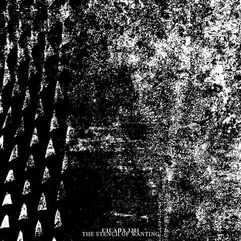 CICADA 3301 - THE STENCH OF WANTING