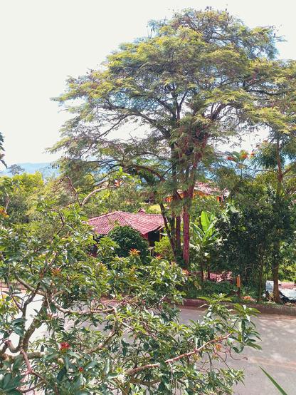 Colorful and bright nature.
#Blackside #earthnow #elitepix #fotomasters   #hey_ihadtosnapthat #lensculture #Lowangleview #monomoods #Nature #picplanet #pictas #podium #rebel_sky #rebels_united #ScenicsNature #Snap_allnature #Snap_alltrees #Snap_community #Snap_community_member #Snap_country #Snap_depthoffield  #Snap_minimal #Snap_skies #Snap_world #Sunlight #vero #Tranquility #verofamily #verofriends #verotography