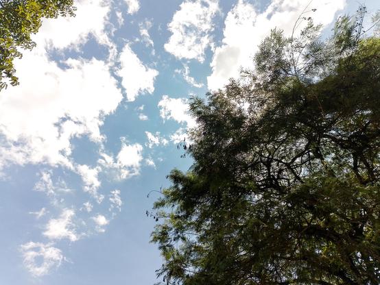 Green, White and blue. Cloudscape.
#Blackside #earthnow #elitepix #fotomasters   #hey_ihadtosnapthat #lensculture #Lowangleview #monomoods #Nature #picplanet #pictas #podium #rebel_sky #rebels_united #ScenicsNature #Snap_allnature #Snap_alltrees #Snap_community #Snap_community_member #Snap_country #Snap_depthoffield  #Snap_minimal #Snap_skies #Snap_world #Sunlight #vero #Tranquility #verofamily #verofriends #verotography