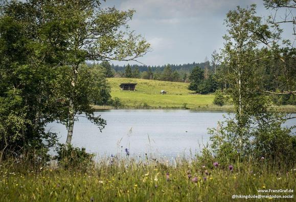 A serene and picturesque scene captured in this image shows a peaceful lake surrounded by lush green trees and grass. In the distance, a house can be seen, adding a touch of human habitation to the natural landscape. The image evokes a sense of quiet beauty and invites viewers to imagine themselves in this idyllic setting, appreciating the harmony between nature and man-made structures. The presence of a variety of tags related to outdoor landscapes, water bodies, and natural environments furth…