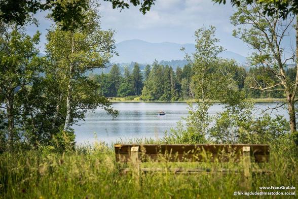 A serene scene captured in this image shows a wooden bench overlooking a tranquil lake, surrounded by lush green trees and majestic mountains in the distance. The image is filled with elements of nature, including trees, grass, sky, water, and clouds, creating a picturesque landscape. The presence of multiple trees of varying sizes adds to the overall natural beauty of the setting. The overall ambiance is peaceful and inviting, making it a perfect spot for relaxation and contemplation.