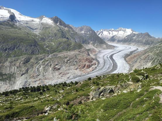 The Aletsch glacier