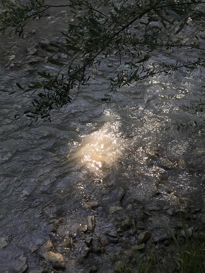 Rayon de soleil sur la rivière chargée de l’orage de la nuit