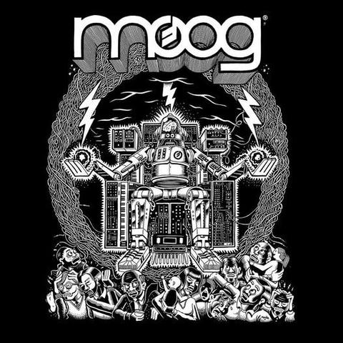 moog advertisement advert 