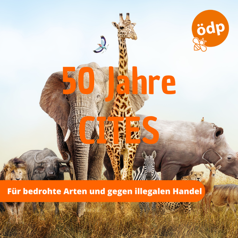 Auf dem Bild sind viele verschiedene Tiere zu sehen.