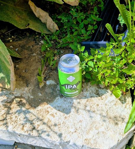 A picture of a beer can sitting amongst some plants. The can is green, and labeled IPA. The brand is unclear.