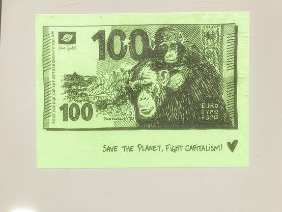 100€, chimpanzés