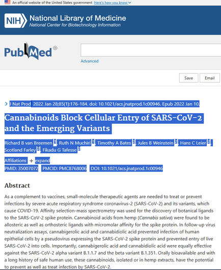 Artikel von 2022 
Abstract
As a complement to vaccines, small-molecule therapeutic agents are needed to treat or prevent infections by severe acute respiratory syndrome coronavirus-2 (SARS-CoV-2) and its variants, which cause COVID-19. Affinity selection-mass spectrometry was used for the discovery of botanical ligands to the SARS-CoV-2 spike protein. Cannabinoid acids from hemp (Cannabis sativa) were found to be allosteric as well as orthosteric ligands with micromolar affinity for the spike protein. In follow-up virus neutralization assays, cannabigerolic acid and cannabidiolic acid prevented infection of human epithelial cells by a pseudovirus expressing the SARS-CoV-2 spike protein and prevented entry of live SARS-CoV-2 into cells. Importantly, cannabigerolic acid and cannabidiolic acid were equally effective against the SARS-CoV-2 alpha variant B.1.1.7 and the beta variant B.1.351. Orally bioavailable and with a long history of safe human use, these cannabinoids, isolated or in hemp extracts, have the potential to prevent as well as treat infection by SARS-CoV-2.