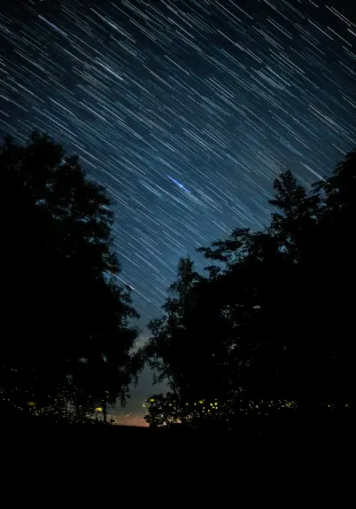 Blurred star trails above small bunch of fireflies under the trees.