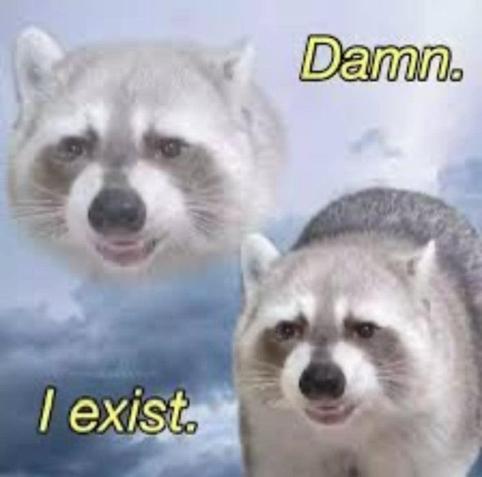 raccoons in the sky 

Damn.


I exist.