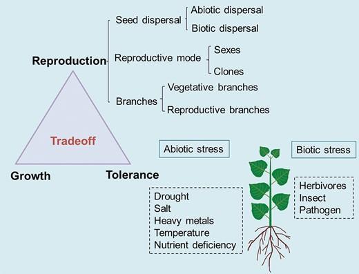 Determining factors of secondary sexual dimorphism in dioecious plants (adapted from Juvany and Munné-Bosch 2015).
