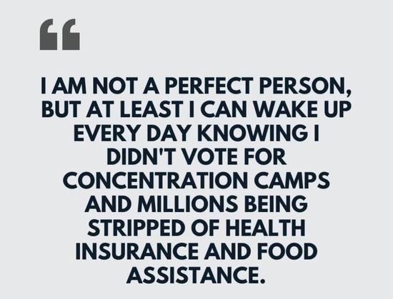 An image of the quote "I am not a perfect person, but at least I can wake up every day knowing I didn't vote for concentration camps and millions being stripped of health insurance and food assistance."