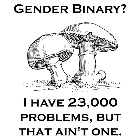 A black and white design with simple clip art of a mushroom in the center and the text "Gender Binary? I have 23,000 problems, but that ain't one."