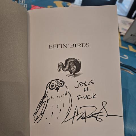 a doodle of an owl in a book