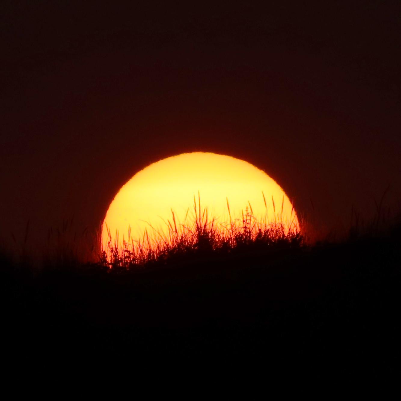 Sunset Sunset
