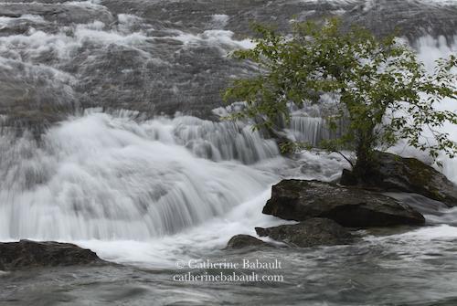 River rushing over boulders. On the right, a tree manages to grow on flat boulders surrounded by the falls. The tree is about 2 metres tall and 3 metres in width. The water looks blurry due to a long exposure.