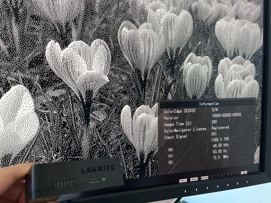 Lakritz FPGA computer in black 3D-printed case driving a display. The display is showing a monochrome image of crocuses. The display information shows the display mode is 1366x768.