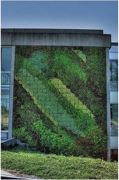 A living wall on a building.