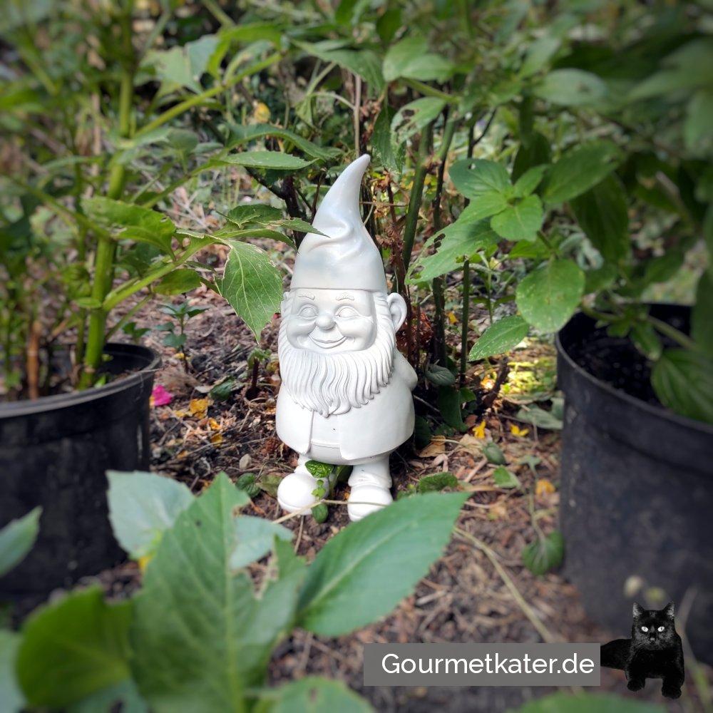 Der Neue im Garten