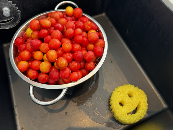 A metal strainer full of little red plumbs in a sink with a smiley face sponge