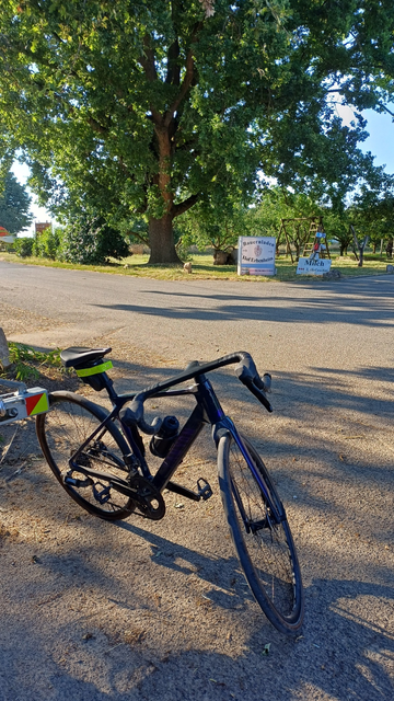 My road bike parked in front of a local dairy farm. Big leafy tree in background.