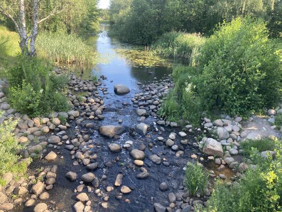 Lehtipuiden ja pensaiden reunustama Mätäjoki, etualalla kivikkoinen koskipaikka.