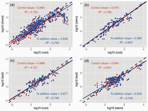 Allometric relationships among different plant organs assessed using RMA regression at P < 0.05.