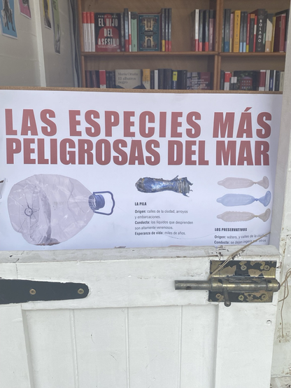 Plastic in the sea