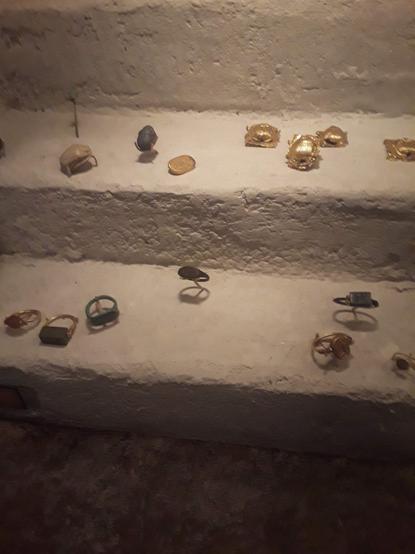 #scarab beetles. The classification of this family has undergone significant change. Several groups formerly treated as subfamilies have been elevated to family rank (e.g., Bolboceratidae, Geotrupidae, Glaresidae, Glaphyridae, Hybosoridae, Ochodaeidae, and Pleocomidae