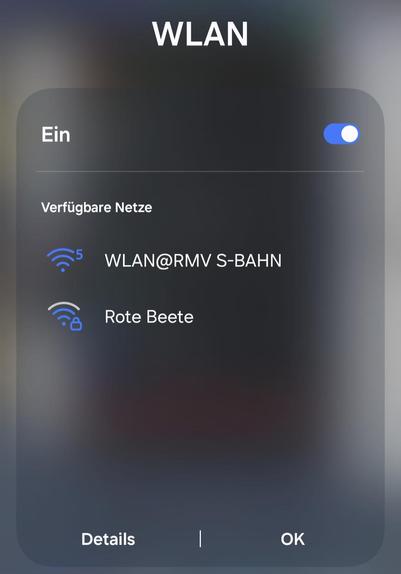 Übersicht von WLAN Netzen in der Umgebung. Ein WLAN heißt "Rote Beete".
