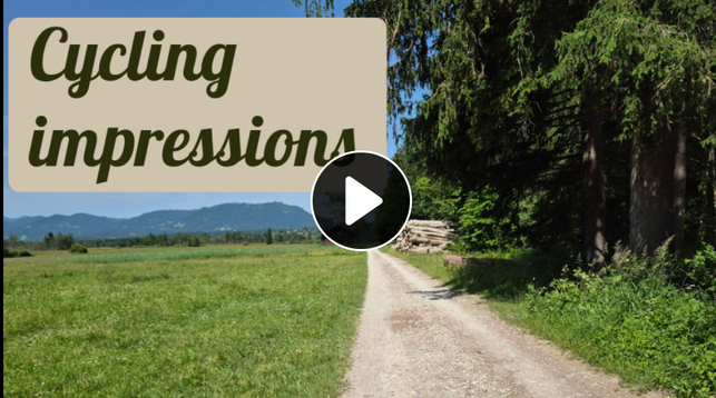 This is a video showing a road winding through a scenic landscape. The road is lined with lush green trees, creating a beautiful natural tunnel effect.  The overall color scheme of the image is dominated by black and green tones, with the accent color being a deep green. The scene is peaceful and tranquil, with the road disappearing into the distance under a clear blue sky. This serene setting captures the essence of a peaceful journey through nature.