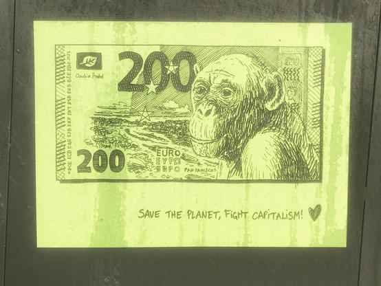 200€, bonobo