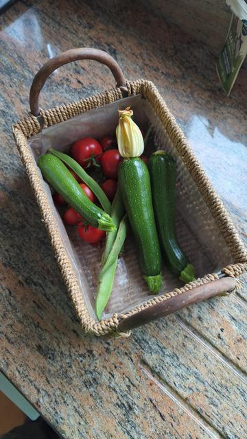 A rigid rope work basket with hooped handles containing a collection of vegetables. Tomatoes, a few runner beans and courgettes one with a tightly closed yellow flower.

The basket is sitting diagonally within the picture on a sandy coloured marble counter, the draining grooves running from the centre to the lower right corner.