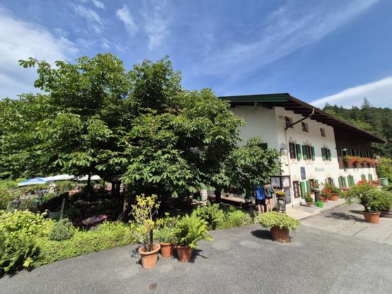 A scenic outdoor setting featuring a building with green shutters and flowers in front of it. The building is surrounded by various trees and plants, adding a touch of natural beauty to the landscape. In the foreground, there is a group of potted plants arranged neatly on the pavement, including a plant in a pot and a green bush. The sky is clear with fluffy clouds, creating a serene atmosphere. The overall color scheme of the image is dominated by shades of grey, blue, and green, with accents …