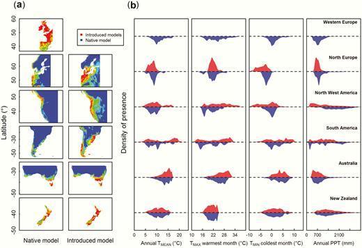 Probability of Ulex europaeus presence predicted by the native and introduced models