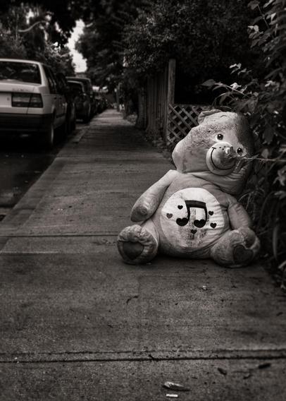 The Little Bear That No One Loved photograph by Brian Carson of The Learning Curve Photography