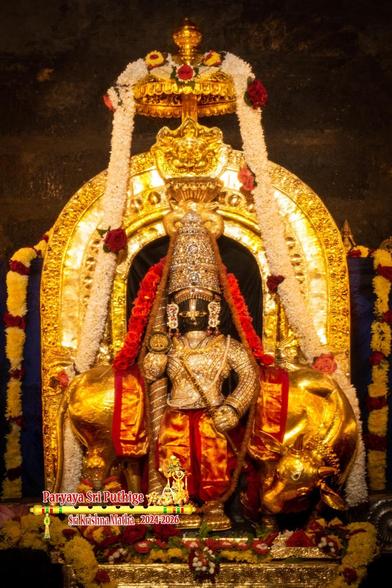 Idol of Hindu deity Krishna in gold-embroidered red pants, wearing a diamond-clad vest and similarly clad crown, holding a gold-diamond clad staff in right hand, and wearing gold shoes. A gold cow stands behind Krishna with its neck bent back and gazing Krishna's feet. Both Krishna and the cow stand on an ornate gold platform. A string of yellow and red flowers atop the platform. A red shawl (matching Krishna's pants) on the cow's back. A dense string of red roses from Krishna's left side to his right via the crown's back.

A gold arch with broad sides behind Krishna; a small gold umbrella attached to the top middle of the arch. A thick dense white string of flowers flows down from the top of the umbrella down on either side of Krishna all the way to the floor. 

Strings of yellow flowers (with some spots of red flowers) hang down from a platform behind the arch.