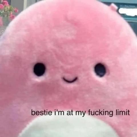 pink stuffed animal

bestie i'm at my fucking limit