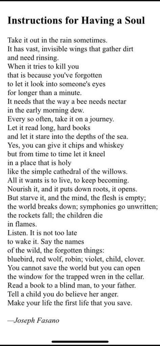 Instructions for Having a Soul: Take it out in the rain sometimes. It has vast, invisible wings that gather dirt and need rinsing. When it tries to kill you that is because you've forgotten to let it look into someone's eyes for longer than a minute. It needs that the way a bee needs nectar in the early morning dew. Every so often, take it on a journey. Let it read long, hard books and let it stare into the depths of the sea. Yes, you can give it chips and whiskey but from time to time let it k…