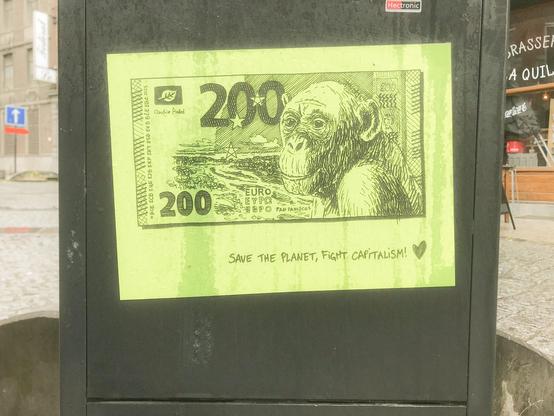 200€ Bonobo