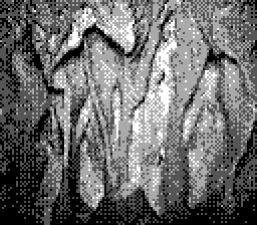 What might look like cave paintings, but they are actual cave reliefs