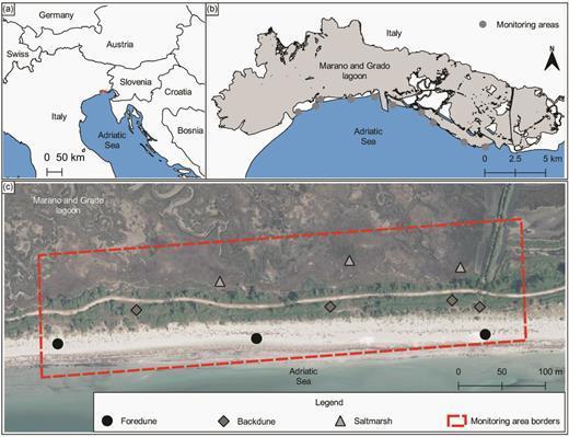 Location of the study area in the lagoon of Marano and Grado in the northern Adriatic Sea (a), the barrier islands and 10 sampling areas (b) and an example of 10 points distribution inside each sampling area (San Andrea island) (c).
