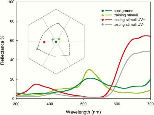 Reflectance curves of the background, training and testing stimuli (cultivated varieties of Camellia japonica) that have been used in colour choice by flower-naïve bumble bees. 